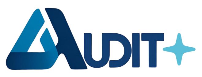 Audit Online SaaS Platform